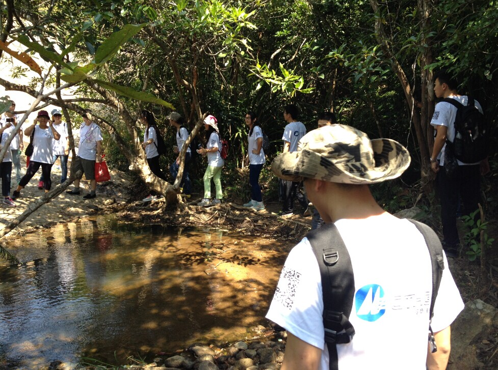 “心港灣、新征途”－招商港灣集團馬巒山徒步活動-