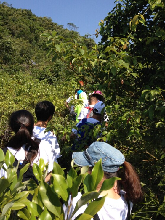 “心港灣、新征途”－招商港灣集團馬巒山徒步活動-
