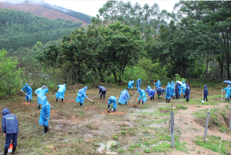 集團組織開展“我與小樹同成長”植樹節(jié)活動-